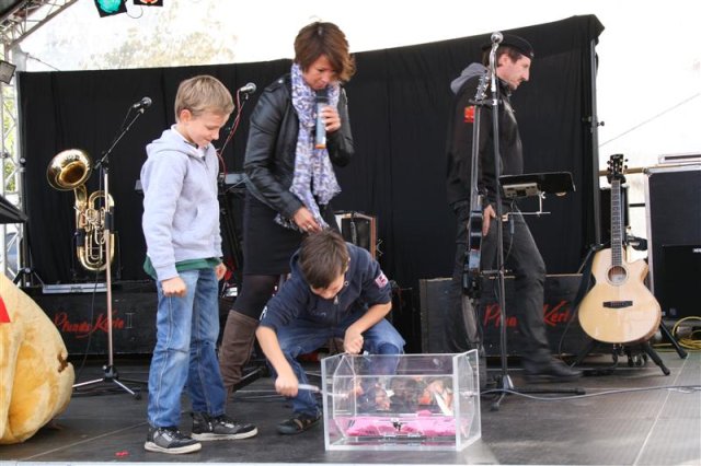 Junglinster Alpenwelten