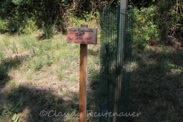 Bilder Claudy - Sammlung