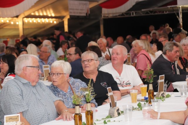 Feiern mit Freunden - VIP-Zelt-Party