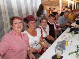 Feiern mit Freunden - VIP-Zelt-Party