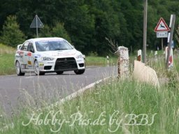 WP 04.08.2012