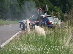 WP 04.08.2012