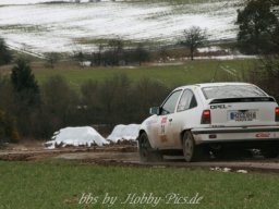 WP5 Südgau